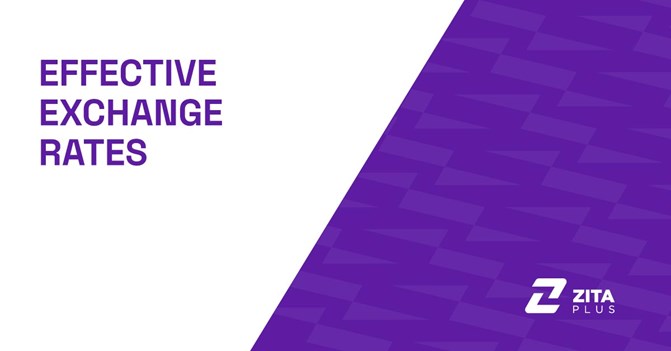 Effective Exchange Rates: NEER vs REER