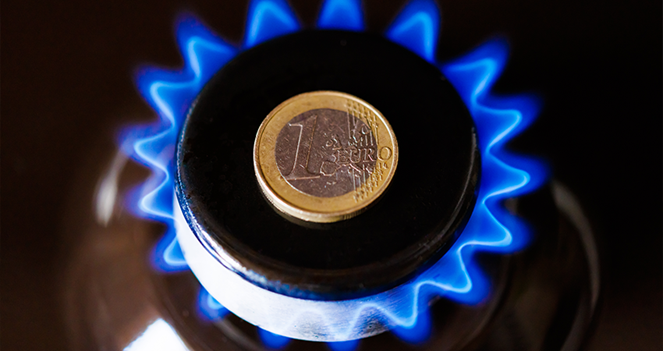 EU to Ban Russian Gas as LNG Worries Grow