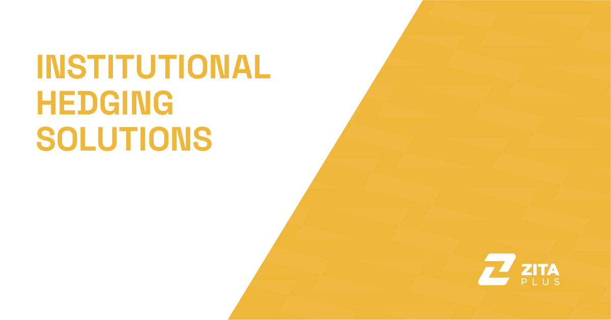 Institutional Hedging Solutions with ZitaPlus
