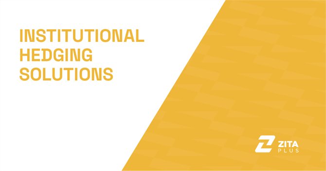 Institutional Hedging Solutions with ZitaPlus