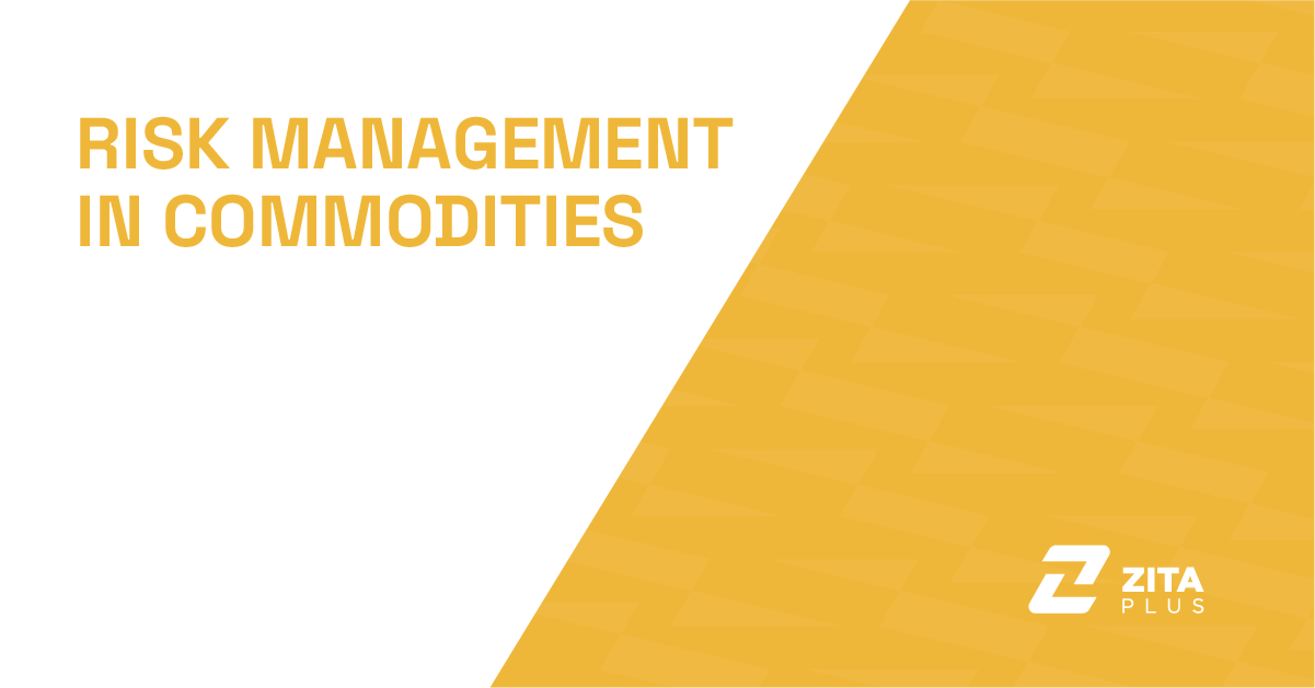 Risk Management in Commodities