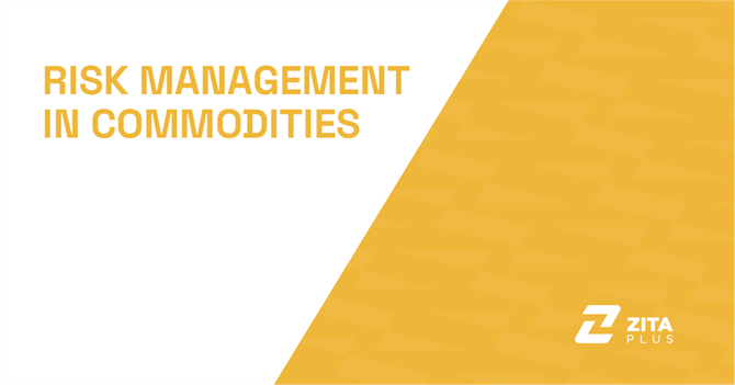 Risk Management in Commodities