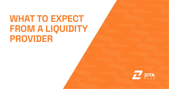 What to Expect from A Liquidity Provider